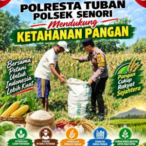 Anggota Bhabinkamtibmas Polsek Senori Polresta Tuban Turun Langsung Bantu Warga Desa Sendang Panen Jagung