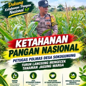 Dukung Ketahanan Pangan Nasional, Petugas Polmas Polsek Kenduruan Polresta Tuban Cek Perkembangan Tanaman Jagung Warga