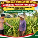 Polsek Montong Polresta Tuban Turun Cek Tanaman jagung Warga di Desa Bringin