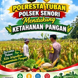 Bhabinkamtibmas Polsek Senori Polresta Tuban Pantau Tanaman Jagung Warga Desa Leran Guna Dukung Ketahanan Pangan Nasional