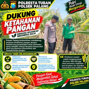 Dukung Astacita, Polsek Palang Polresta Tuban Pantau Langsung Lahan Jagung milik warga Desa Wangun