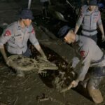 SAAT GALODO MENERJANG SOLOK, POLRI HADIR MELAYANI: SAR DIKERAHKAN, MAPOLRES JADI TEMPAT PENGUNGSIAN