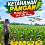 Polsek Soko Polresta Tuban Turun Langsung Cek Tanaman Jagung Warga