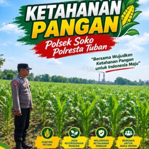 Polsek Soko Polresta Tuban Turun Langsung Cek Tanaman Jagung Warga