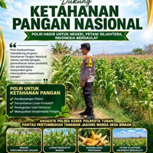 BHABINKAMTIBMAS POLSEK KEREK PANTAU PERTUMBUHAN JAGUNG, WUJUD DUKUNGAN KETAHANAN PANGAN NASIONAL