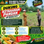 Dukung Astacita, Polsek Palang Polresta Tuban Pantau Langsung Lahan Jagung milik warga Desa Glodog