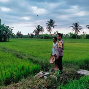 Dukung Ketahanan Pangan Nasional, Bhabinkamtibmas Desa Lekong Sambangi Petani dan Dorong Pemanfaatan Lahan Produktif