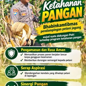 Mendukung Program Ketahanan Pangan, Bhabinkamtibmas Monitoring Pertumbuhan Jagung
