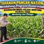 Polsek Montong Polresta Tuban Turun Cek Tanaman jagung Warga di Desa Pucangan