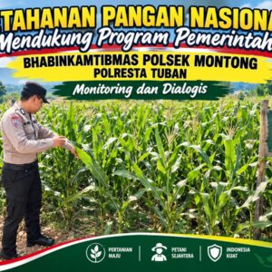 Polsek Montong Polresta Tuban Turun Cek Tanaman jagung Warga di Desa Pucangan