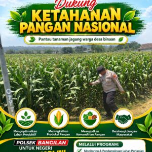 Polsek Bangilan Dukung Ketahanan Pangan Nasional, Pantau Tanaman Jagung Warga