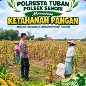 Anggota Bhabinkamtibmas Polsek Senori Polresta Tuban Lakukan Pemantauan Tanaman Jagung Warga Desa Leran Dukung Program Ketahanan Pangan