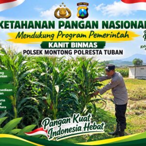 Mendukung Asta Cita Presiden Polmas Polsek Montong Polresta Tuban Pantau Kodisi Tanaman Jagung Milik Warga Desa Jetak