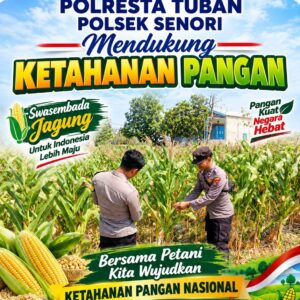 Unit Binmas Polsek Senori Polresta Tuban Memantau Tanaman Jagung Milik Warga Desa Sendang Kecamatan Senori Guna Mendukung Program Ketahanan Pangans