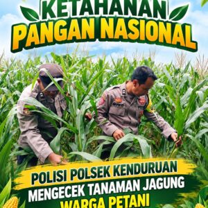 Konsep Otomatis