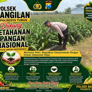 Mendukung Program Ketahanan Pangan, Bhabinkamtibmas Monitoring Pertumbuhan Jagung