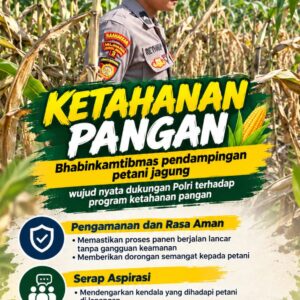 Mendukung Program Ketahanan Pangan, Bhabinkamtibmas Monitoring Pertumbuhan Jagung
