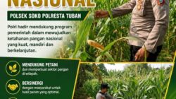 Polsek Soko Polresta Tuban Turun Langsung Cek Tanaman Jagung Warga