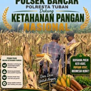 Dukung Ketahanan Pangan Nasional, Polsek Bancar Turun Ke Lahan Jagung Warga Desa Ngujuran