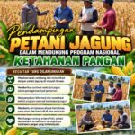 Dukung Ketahanan Pangan Nasional, Polsek Bancar Turun Ke Lahan Jagung Warga Desa Pacing