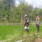 Dukung Ketahanan Pangan Nasional, Bhabinkamtibmas Sambangi Warga yang Beraktivitas di Ladang