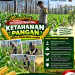 Dukung Asta Cita, Polsek Parengan Turun Langsung Pantau Ladang Jagung Warga Desa Parangbatu