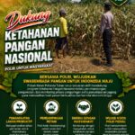 Dukung Ketahanan Pangan, Polsek Kerek Sambang Lahan Jagung di Desa Binaan