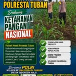 BHABINKAMTIBMAS PANTAU PERTUMBUHAN TANAMAN JAGUNG WARGA DI DESA BINAAN
