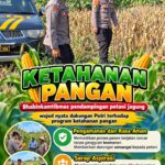 Mendukung Program Ketahanan Pangan, Bhabinkamtibmas Monitoring Pertumbuhan Jagung