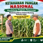Mendukung Asta Cita Presiden bhabinkamtibmas Polsek Montong Polresta Tuban Pantau Kodisi Tanaman Jagung Milik Warga Desa pakel