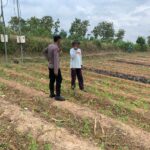 Dukung Asta Cita Presiden, Polsek Tambakboyo Aktif Dampingi Petani Manfaatkan Lahan Pekarangan