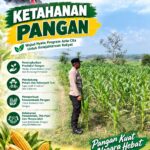 Dukung Program Ketahanan Pangan, Polsek Bangilan Monitoring Pertumbuhan Tanaman Jagung