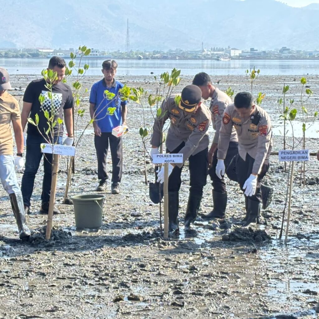 Kapolres Bima Kota Tanam Mangrove di Pantai Lawata, Wujud Kepedulian terhadap Kelestarian Lingkungan