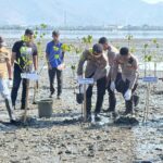 Kapolres Bima Kota Tanam Mangrove di Pantai Lawata, Wujud Kepedulian terhadap Kelestarian Lingkungan