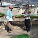 Bhabinkamtibmas Bagik Papan Cek Bibit Pertanian, Dukung Program Ketahanan Pangan