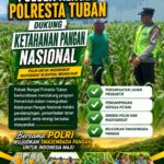 Polri Dukung Astacita, Polsek Rengel Polres Tuban Turun Cek Tanaman Padi Warga di Desa Maibit