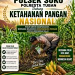 Polsek Soko Polresta Tuban Turun Langsung Cek Tanaman Jagung Warga