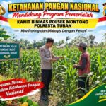 Mendukung Asta Cita Presiden Polmas Polsek Montong Polresta Tuban Pantau Kodisi Tanaman Jagung Milik Warga Desa Jetak
