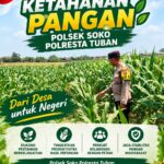 Polsek Soko Polresta Tuban Turun Langsung Cek Tanaman Jagung Warga