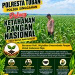 Polsek Parengan Polresta Tuban Pantau Lahan Jagung Warga Desa Selogabus Dukung Program Astacita