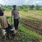 Dukung Astacita, Polsek Jatirogo Polresta Tuban Pantau Langsung Lahan Jagung milik warga Desa Bader