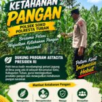 Polsek Soko Polresta Tuban Turun Langsung Cek Tanaman Jagung Warga