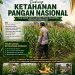 BHABINKAMTIBMAS PANTAU PERTUMBUHAN TANAMAN JAGUNG DI DESA BINAAN