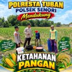 Unit Binmas Polsek Senori Polresta Tuban Membantu Proses Pemupukan Tanaman Jagung Warga Desa Jatisari