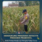 Mendukung Program Astacita Presiden Prabowo, Polisi Polsek Kenduruan Polresta Tuban Turun Langsung Kawal Ketahanan Pangan Nasional .
