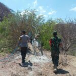 Respon Cepat Bhabinkamtibmas dan Babinsa Padamkan Api di Desa Lab. Kertasari