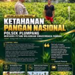 Polsek Plumpang Polresta Tuban Turun Langsung Cek Tanaman Jagung Warga