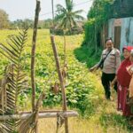 Dukung Ketahanan Pangan Asta Cita Presiden, Bhabinkamtibmas Desa Ngeru Sambangi Lahan Petani dan Ajak Budidaya Hortikultura