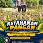 Mendukung Program Ketahanan Pangan, Bhabinkamtibmas Monitoring Pertumbuhan Jagung