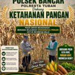 Dukung Ketahanan Pangan Nasional, Bripda Dodi Monitoring Hasil Panen Jagung di Desa Tergambang